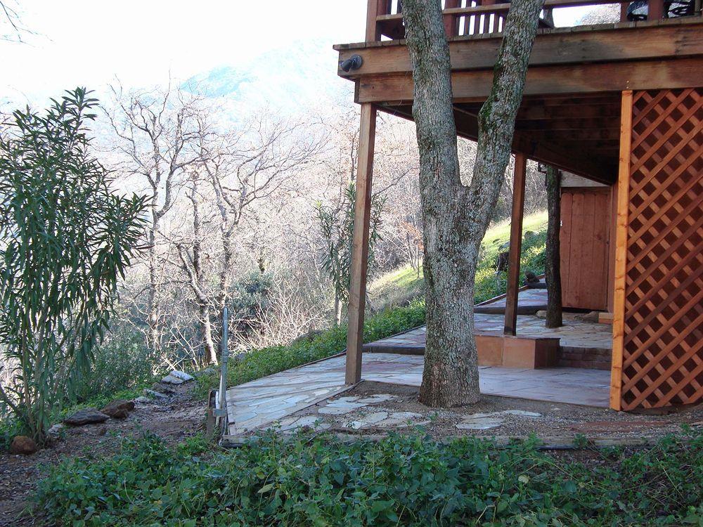Bellevue Guesthouse Three Rivers Exterior foto